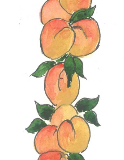 Original Apricot illustration by Jennifer Fraser for Highfield Preserves