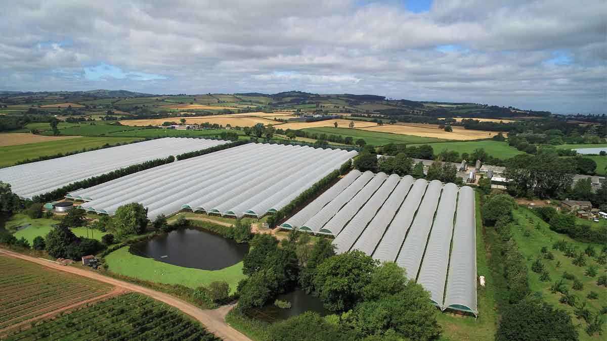 Aerial photo of Pencoyd Court Farm